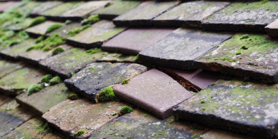 Chipping Norton roof repair costs